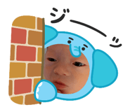 799080447