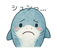 799081060