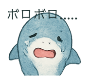 799081069