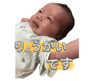 799084453