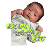 799084454