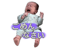 799084455