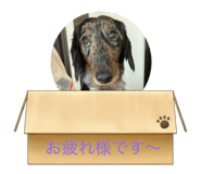 799089543