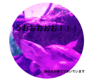 799113838