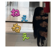 799120251