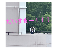 799120252