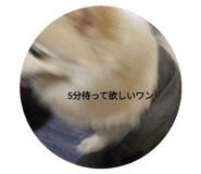 799126198