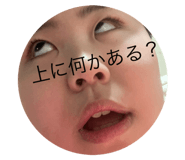 799139568