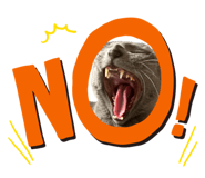 799199961