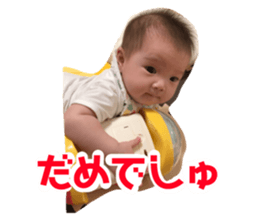 79920606