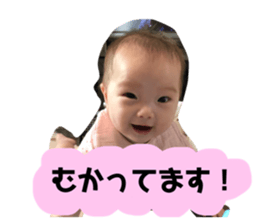 79920617