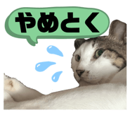 799206471