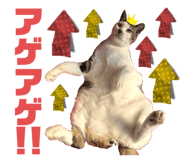 799206473