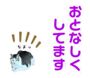 799206494