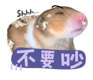 799207013
