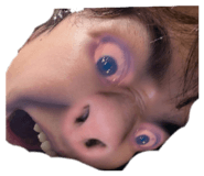 799223776