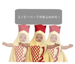 799225245