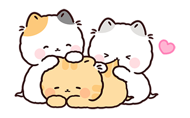 ลายที่ 11