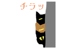 799234245