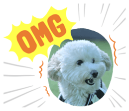 799240654
