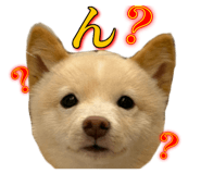 799257546