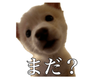 799257554