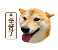 799282404