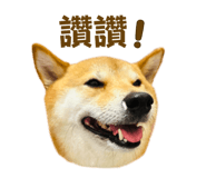 799282408