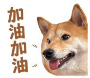 799282412