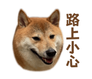 799282420