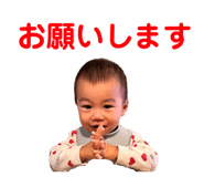 799330038