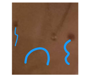 799333011