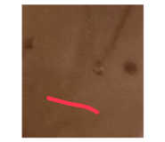 799333013