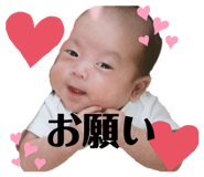 799344886