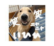 799352130