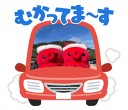 799366616