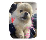 799372120