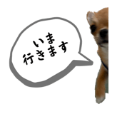 799374427