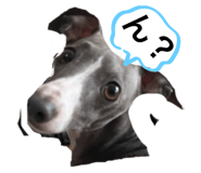 799375723