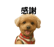 799376564