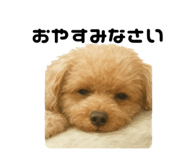 799376566