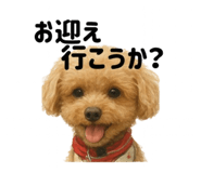 799376580