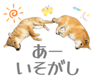 799379220