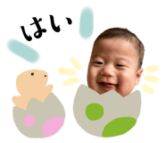 799397515