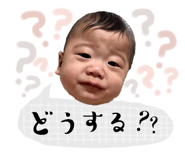 799397545