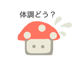799400855
