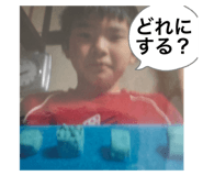 799402229