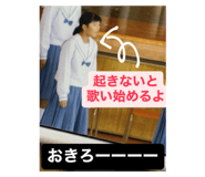 799411796