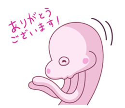 7994528