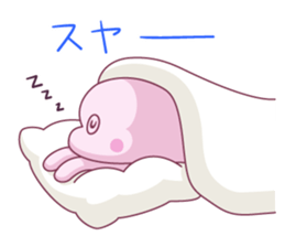 7994538